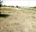 Plot for sale in Gaulane Road, Nasik